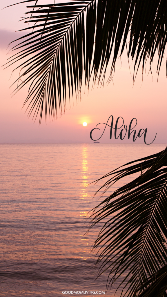 beach aesthetic wallpaper, beach wallpapers aesthetic, tropical wallpaper, tropical leaf wallpaper, 4k beach wallpaper, aloha, aloha wallpaper