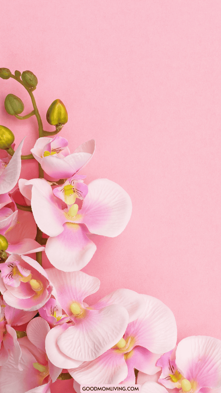 50+ Pink Preppy Wallpaper for iPhone (FREE Pink Wallpaper) Good Mom Living