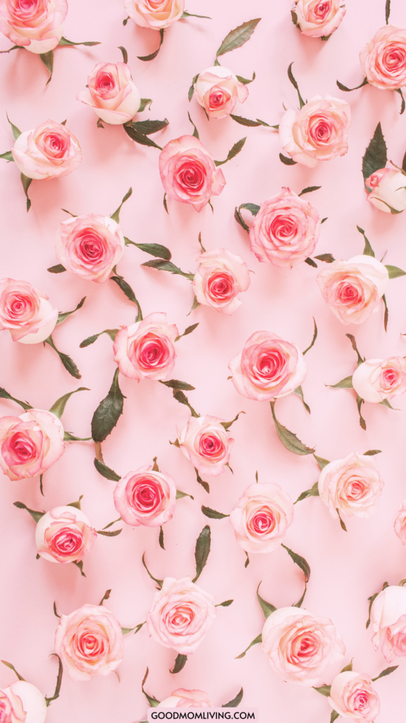 pink and green wallpaper, pink flowers wallpaper, rose pink aesthetic wallpaper