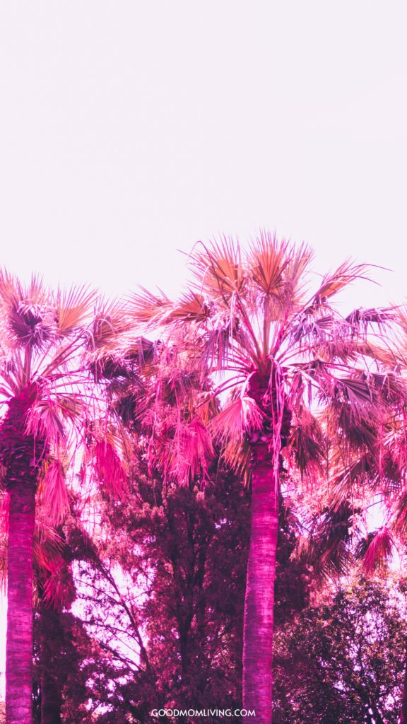 hot pink preppy wallpapers, hot pink wallpaper, dark pink wallpaper, leaf wallpaper, palm leaf wallpaper, tropical leaf wallpaper