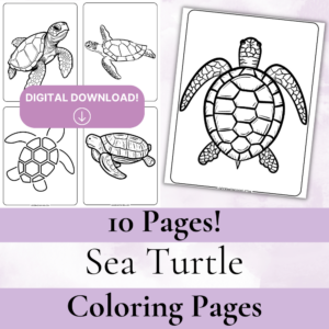 Sea turtle coloring page book