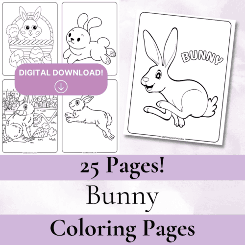 Bunny Pattern Coloring 25 Page Bunny Coloring Page Book - Good Mom Living