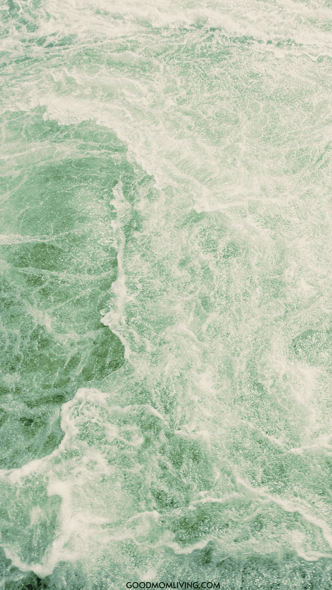 40+ Sage Green Aesthetic Wallpaper for Phone - Good Mom Living