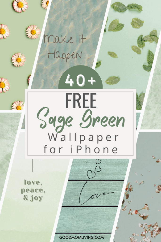 aesthetic sage green wallpapers