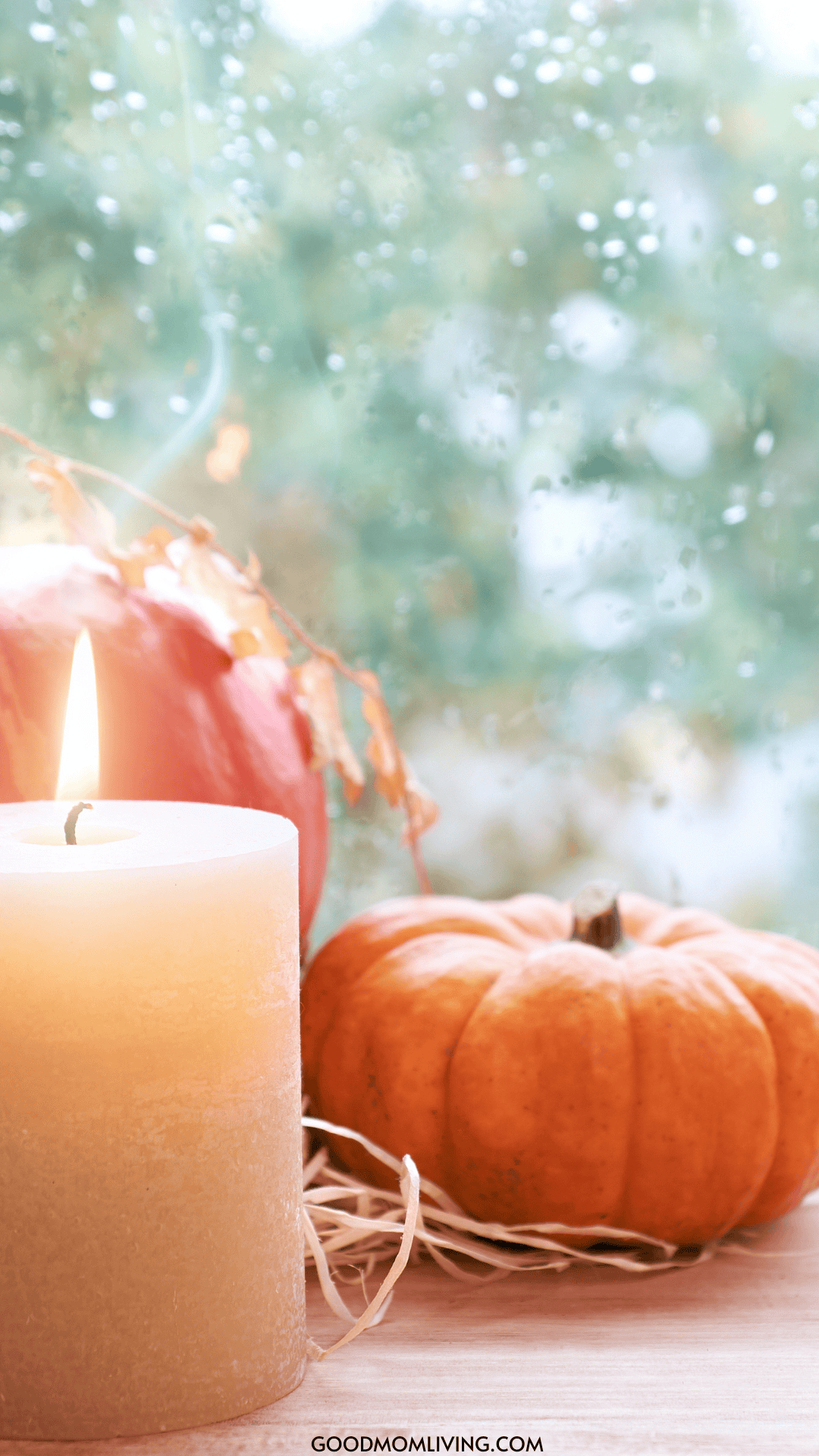 55+ Best Fall Phone Backgrounds (FREE Autumn Wallpaper) - Good Mom Living