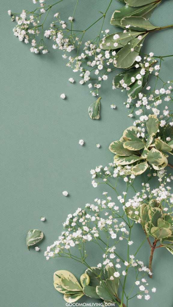 40+ Sage Green Aesthetic Wallpaper for Phone - Good Mom Living