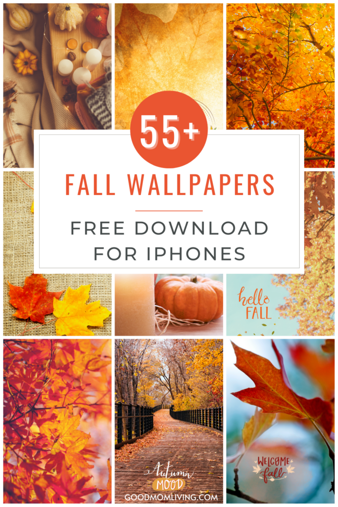 55+ Best Fall Phone Backgrounds (FREE Autumn Wallpaper) - Good Mom Living