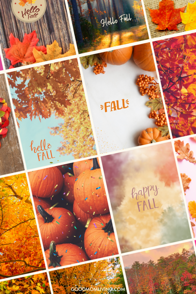 60+ Free Cute Wallpapers for iPhone (Cool Backgrounds) - Good Mom