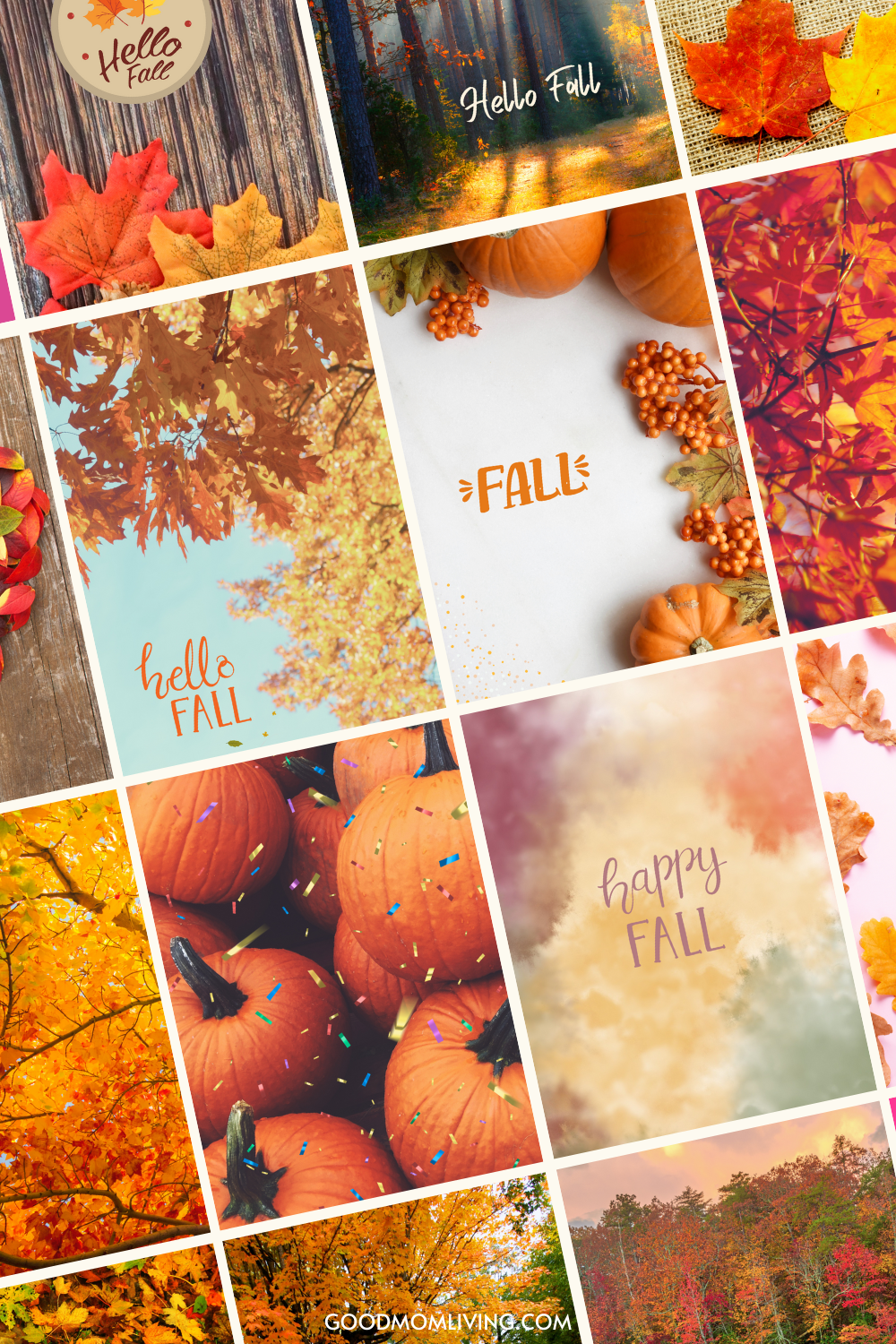 12 Fall Wallpaper Ideas : Hello Pumpkin 1 - Fab Mood