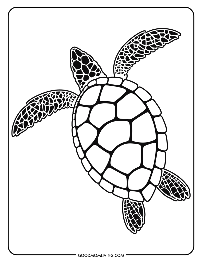 coloring pages sea turtle