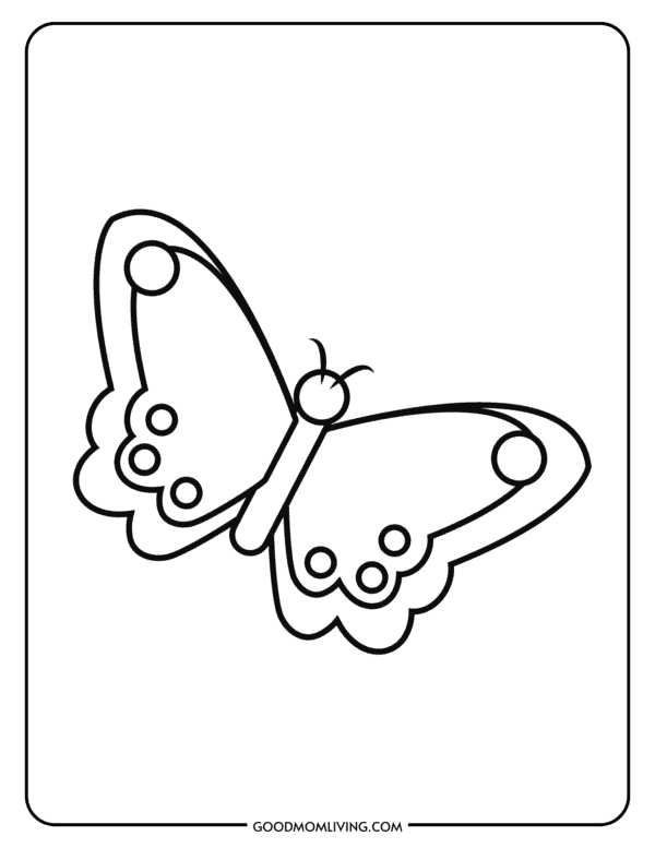 Printable Butterfly Outline Templates (Free Images) - Good Mom Living