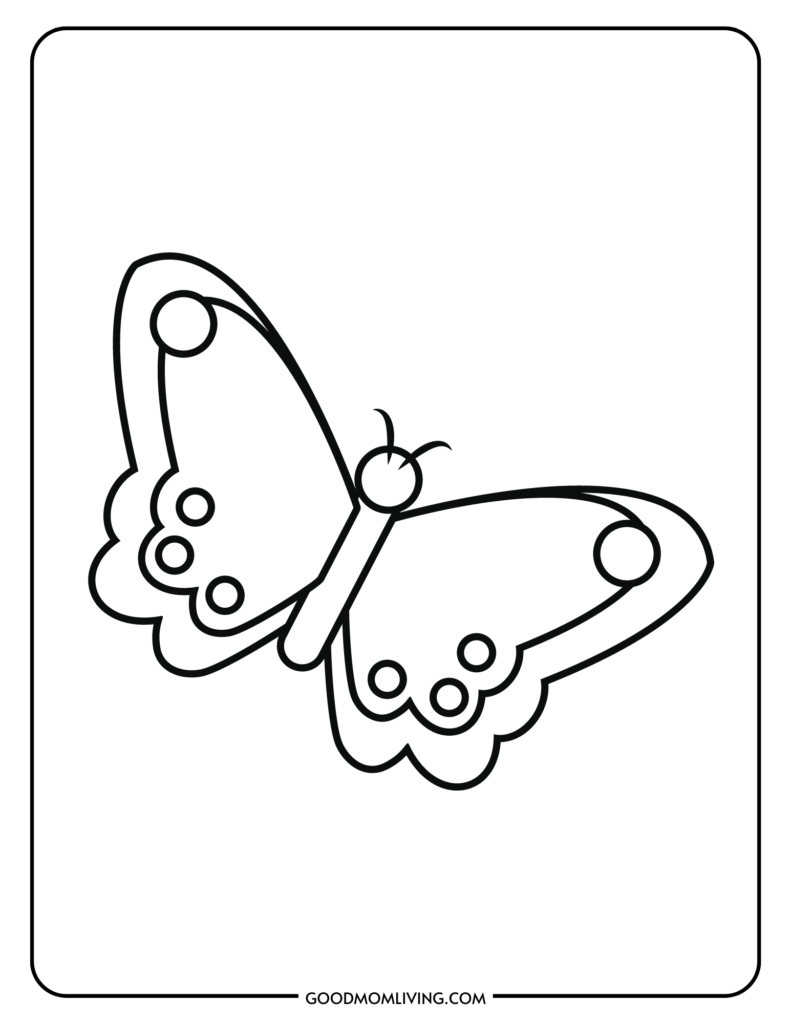 full page butterfly template