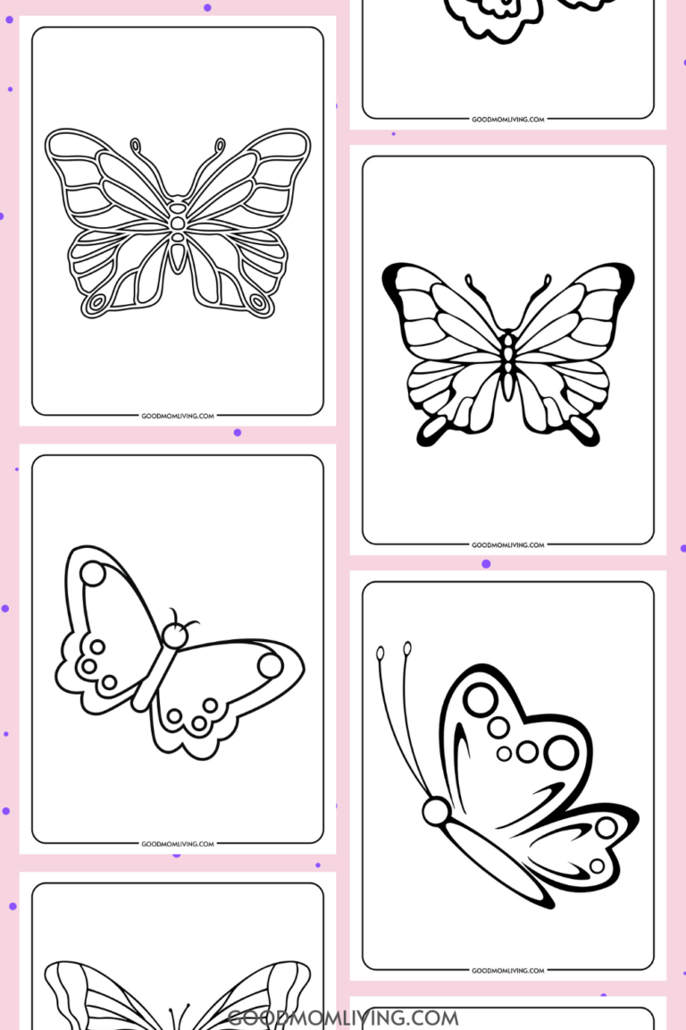 butterfly outline
