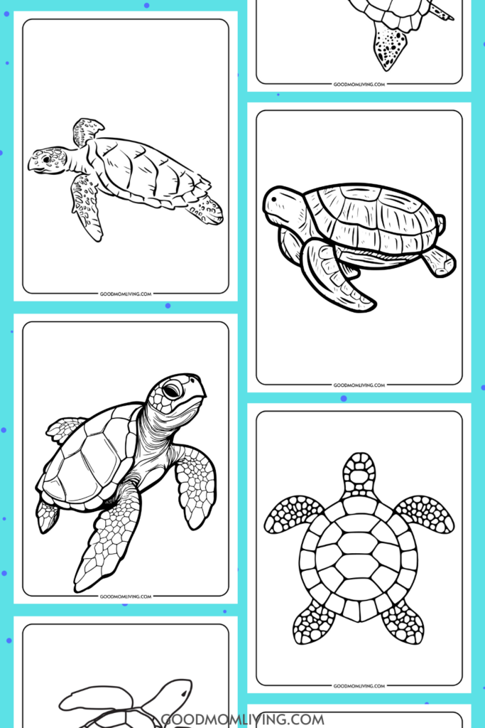 sea turtle coloring page