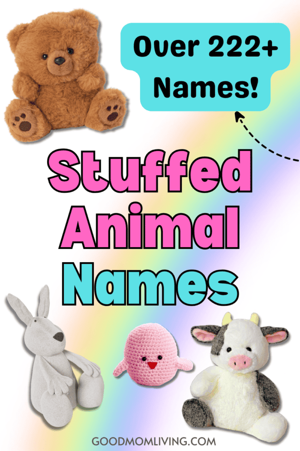 222+ Cute Names for Stuffed Animals (Kids Will Love) Good Mom Living