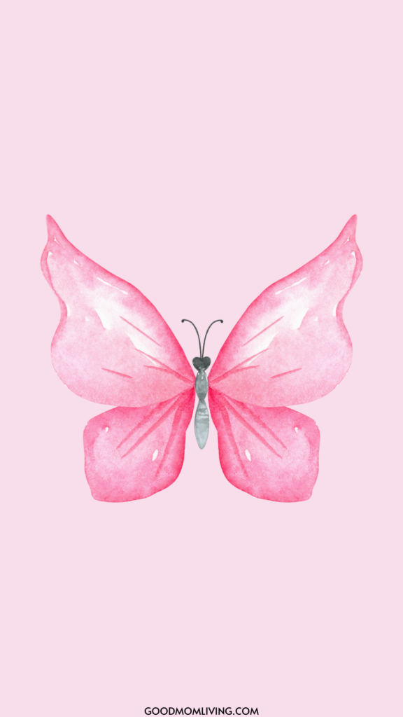 Soft Pink Butterfly Wallpaper HD