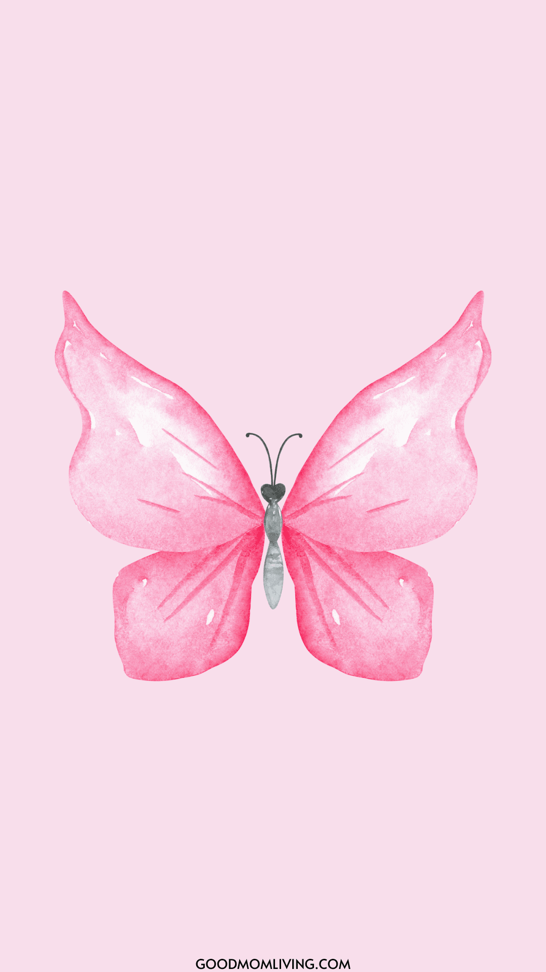Butterfly Pink Wallpaper main image 1