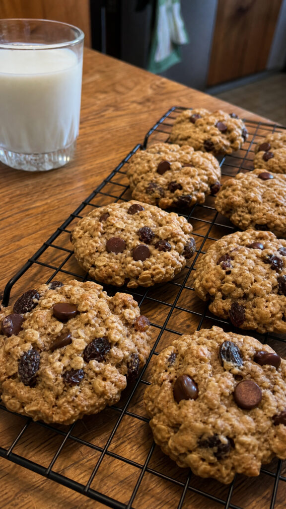 Breakfast Cookies