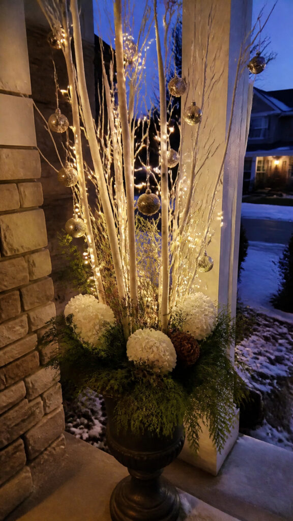 Birch Branch Winter Wonderland