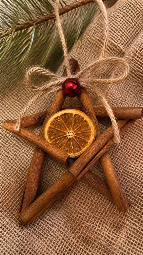 Cinnamon Stick Stars