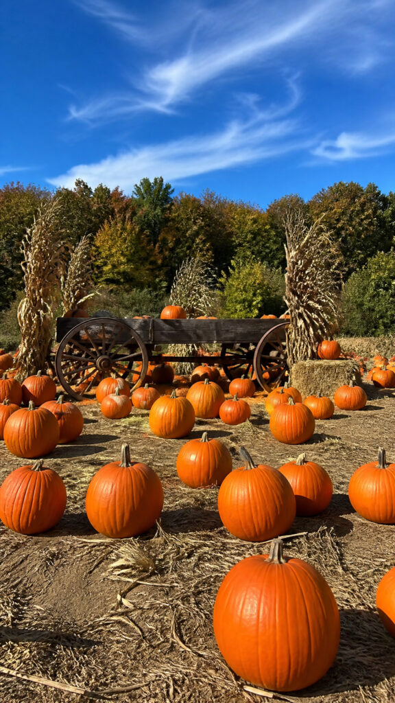 Pumpkin Patch Party with Fall Activities