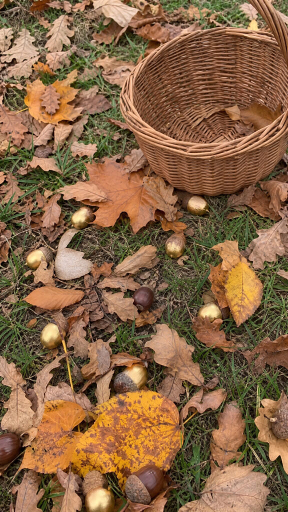 Acorn Hunt