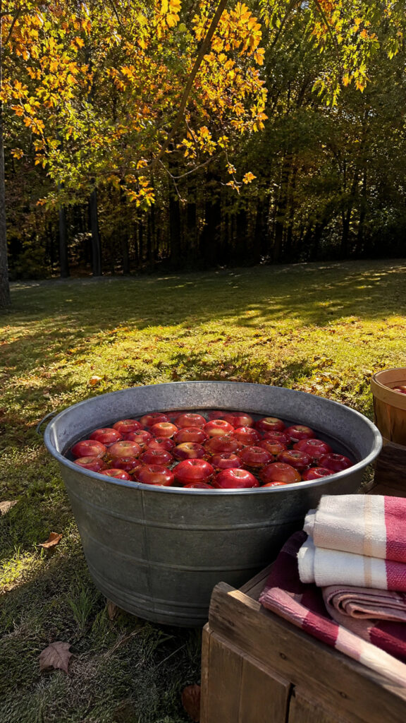 Apple Bobbing Station