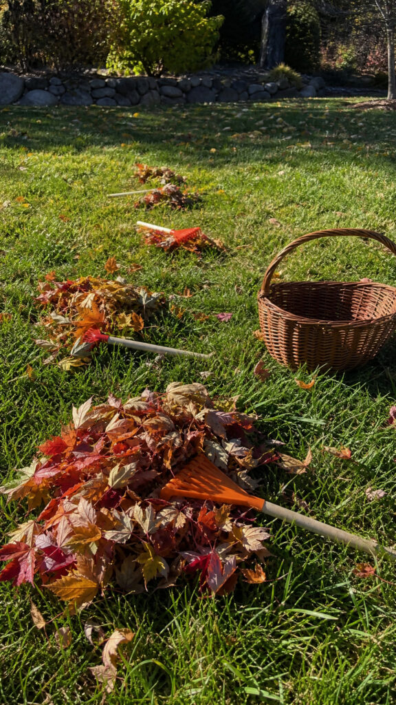 Leaf Relay Race