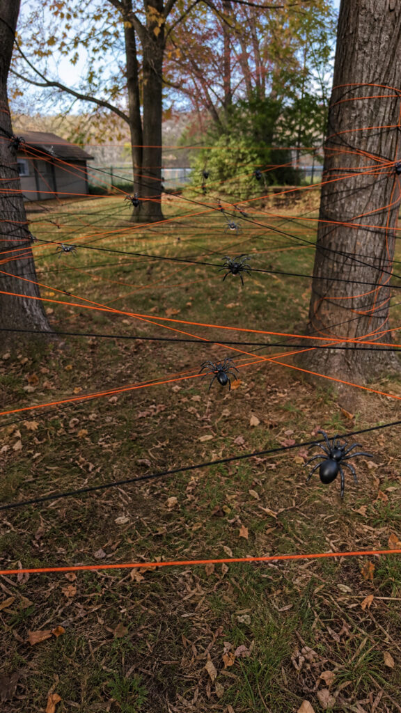 Spider Web Walk