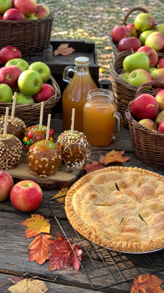 Apple Orchard Adventure