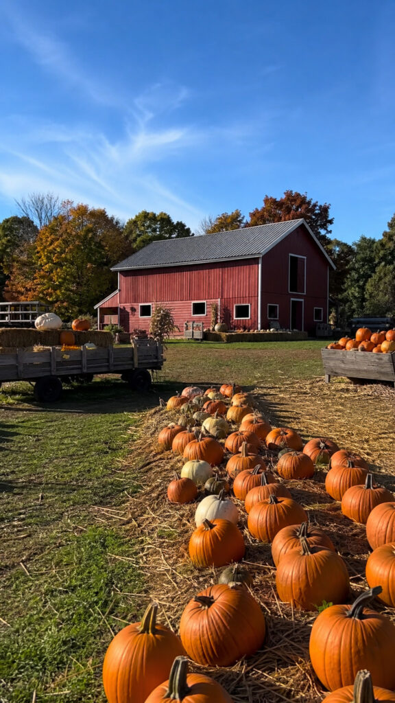 Choose The Perfect Fall Party Venue