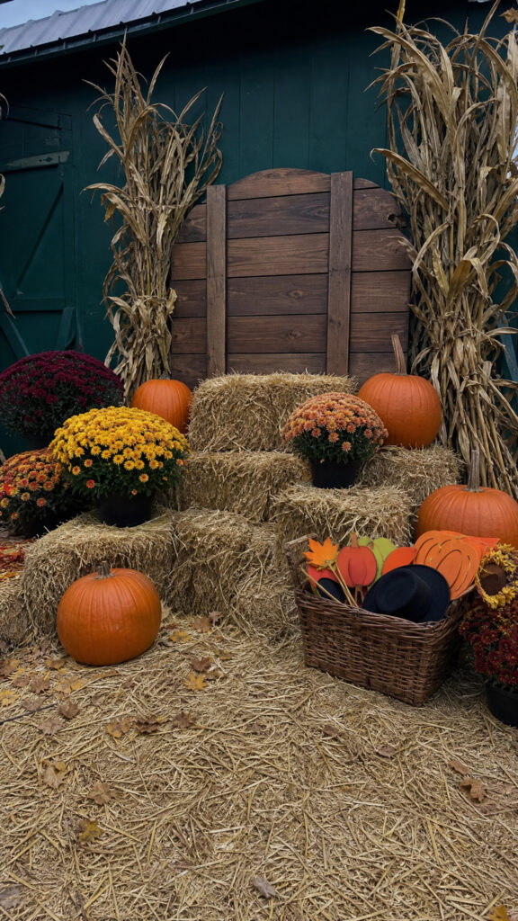 Create A Picture-Perfect Photo Backdrop