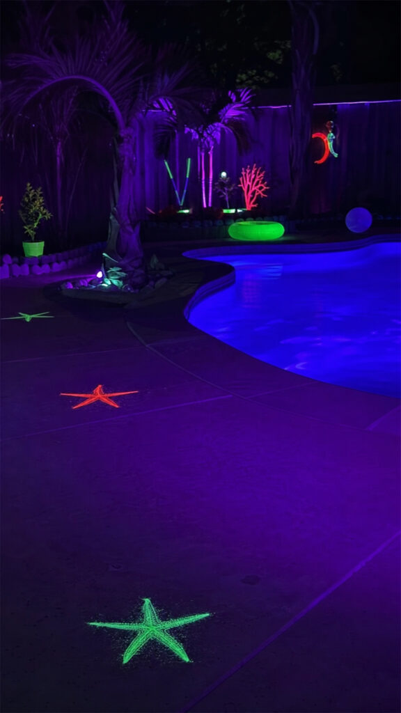 Black Light Setup