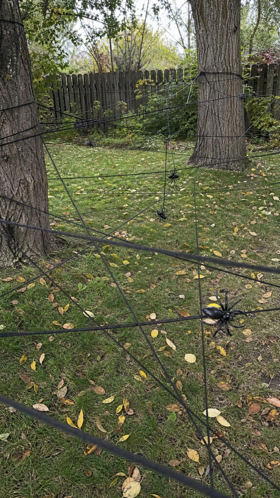 Spider Web Obstacle Course