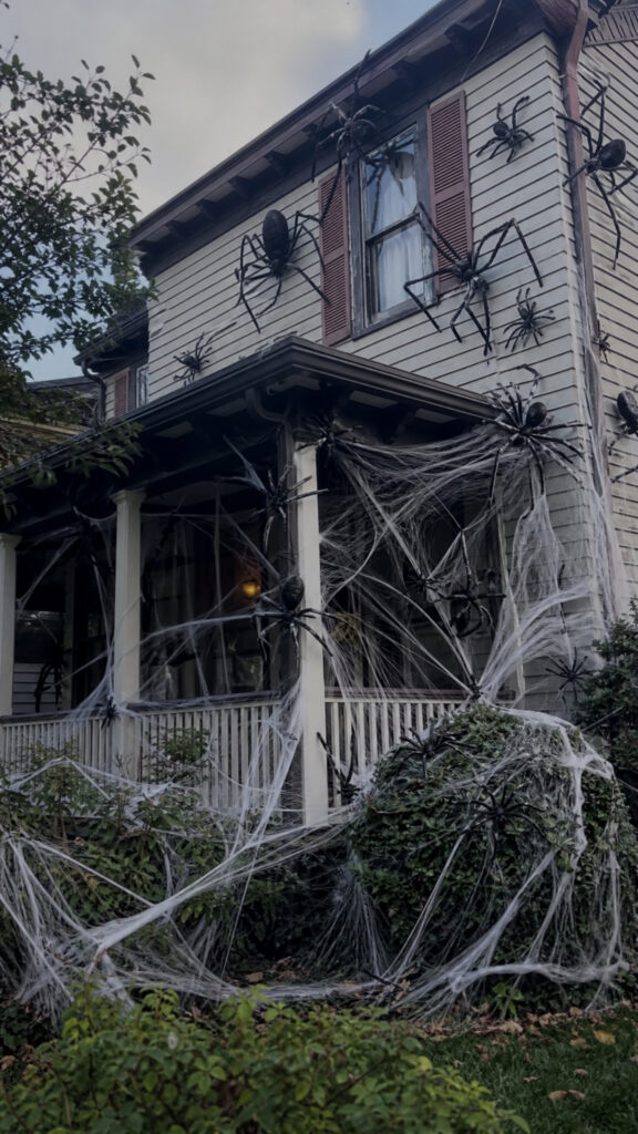 Creepy Crawly Creatures And Giant Spiders