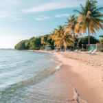 A tropical beach with soft golden sand and clear turquoise water, lined with tall palm trees under a bright blue sky.