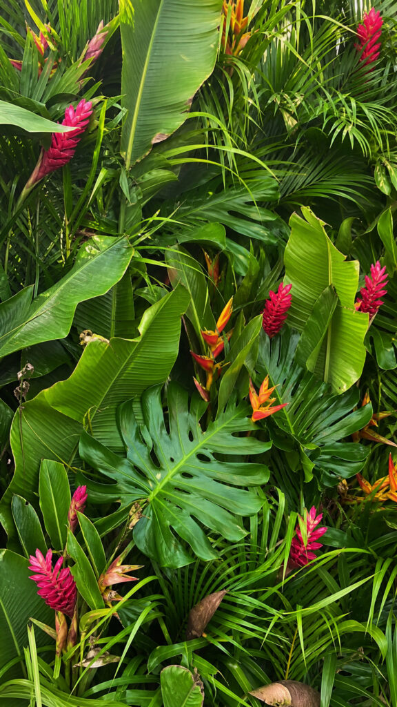 Tropical Leaf Backdrop Wall