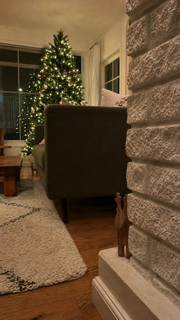 Reindeer Scavenger Hunt