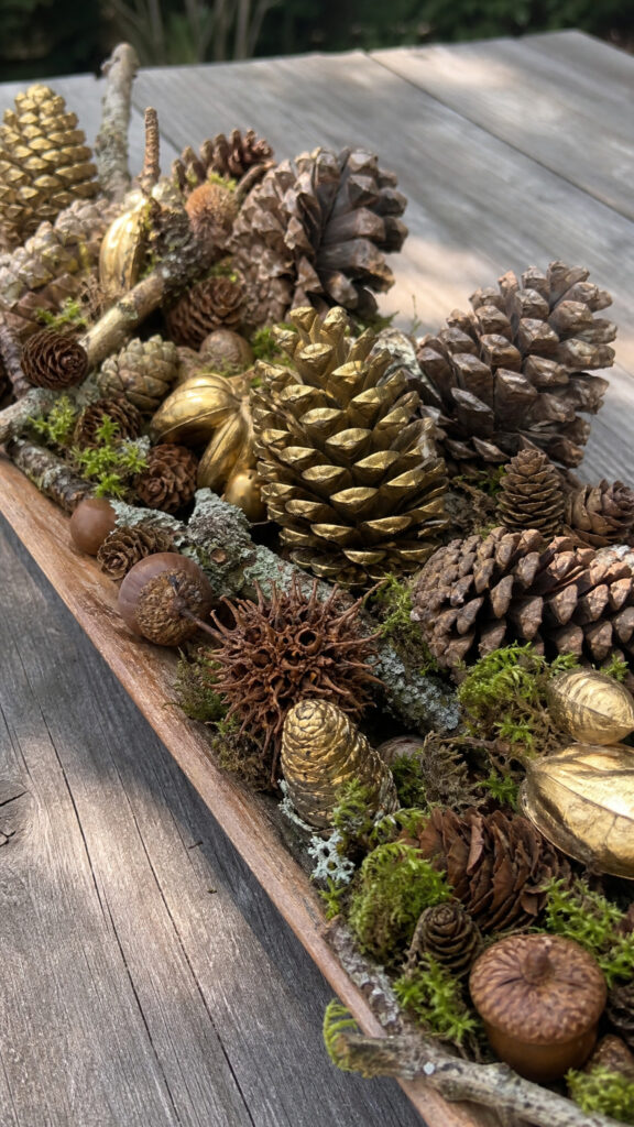 Acorn and Pinecone Nature Display