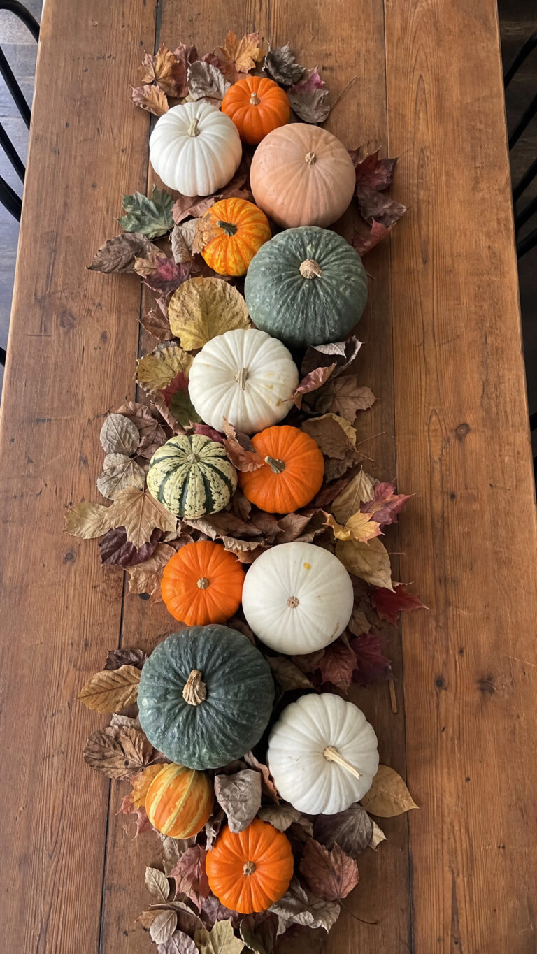 Classic Pumpkin and Gourd Display
