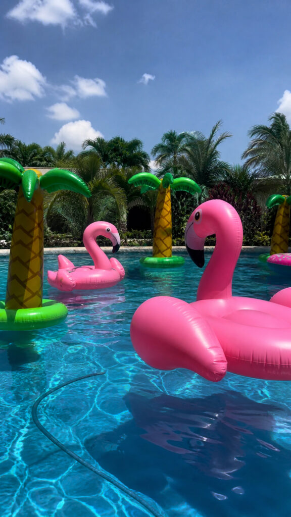 Giant Inflatable Palm Trees and Flamingos