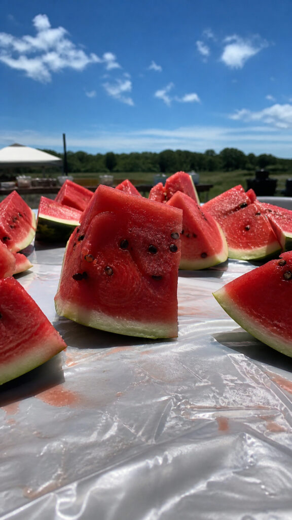 Watermelon Eating Contest